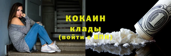 дмт Россошь