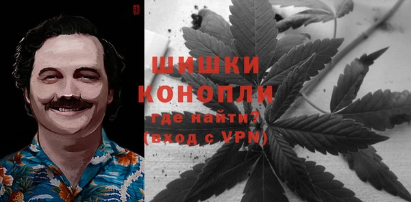 дживик Абаза
